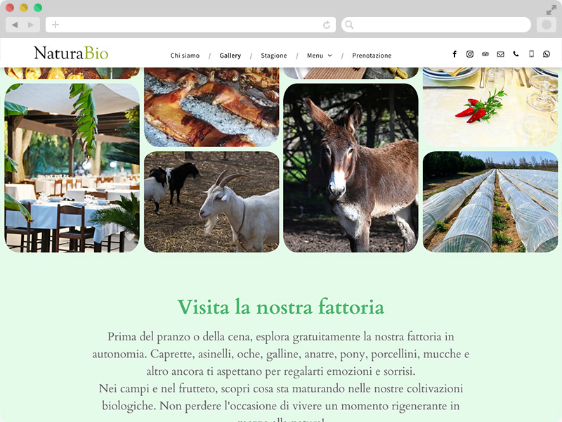 NaturaBio Restaurant